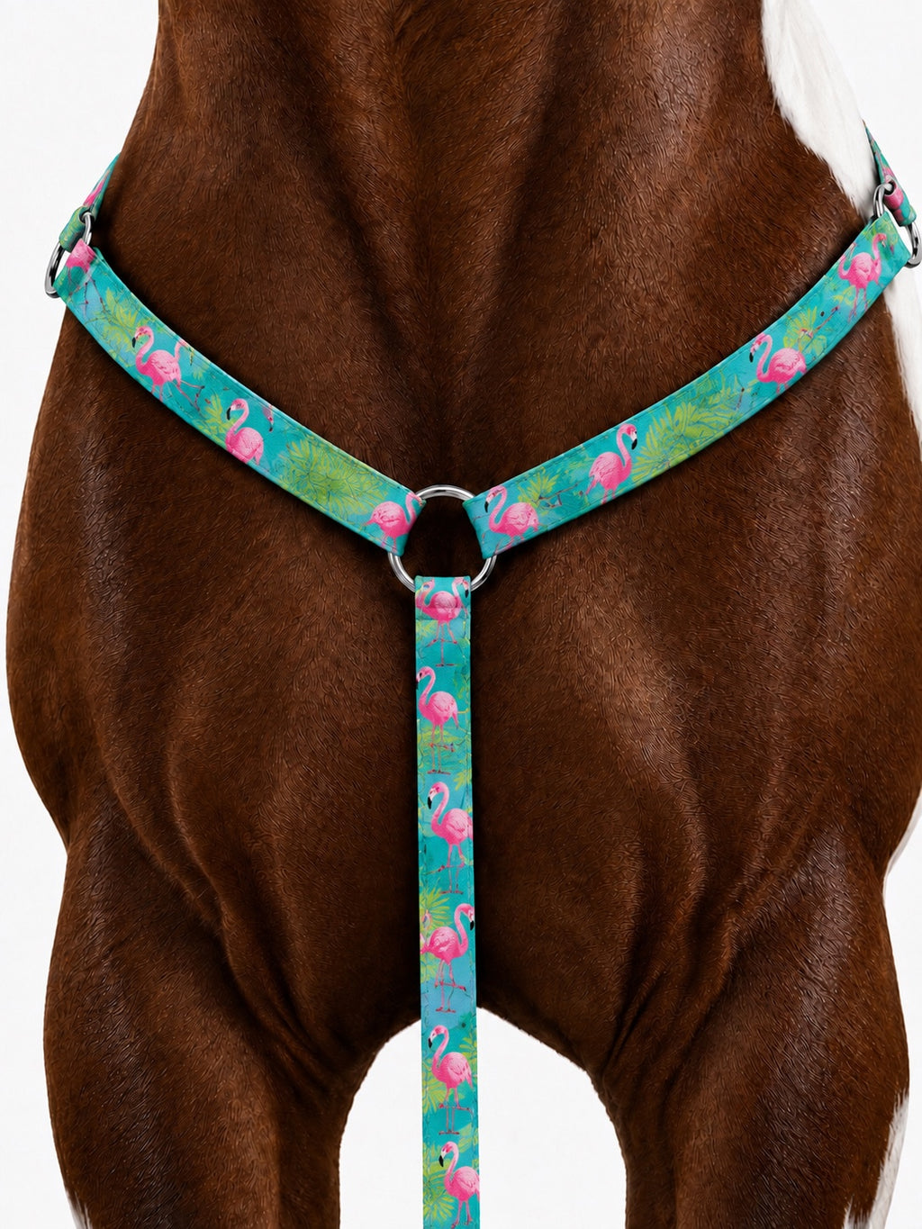 🦩 FLAMINGO BY CALNEVARI TACK 🦩