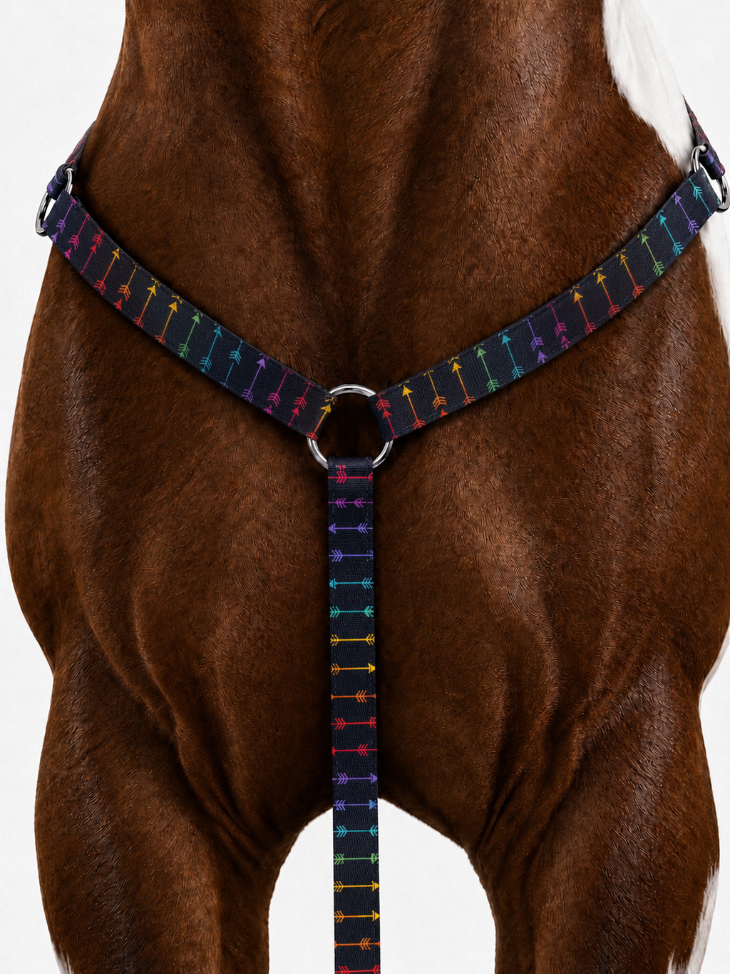 🌈🏹 Aim to Misbehave Collection | Rainbow Arrow Horse Tack 🏹🌈