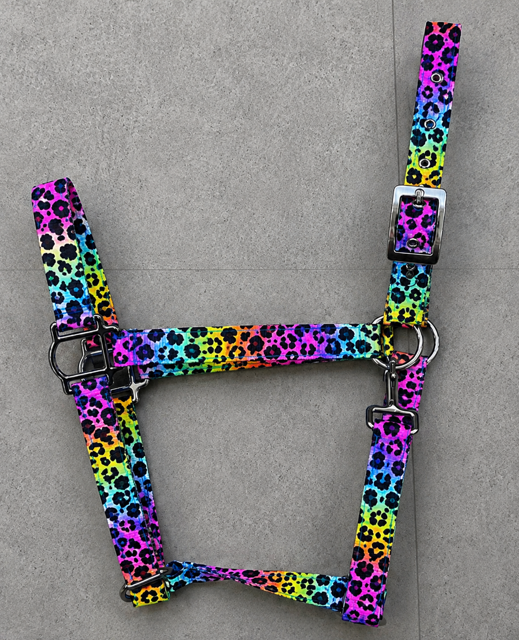 🌈🐆 NEON LEOPARD BY CALNEVARI TACK 🐆🌈