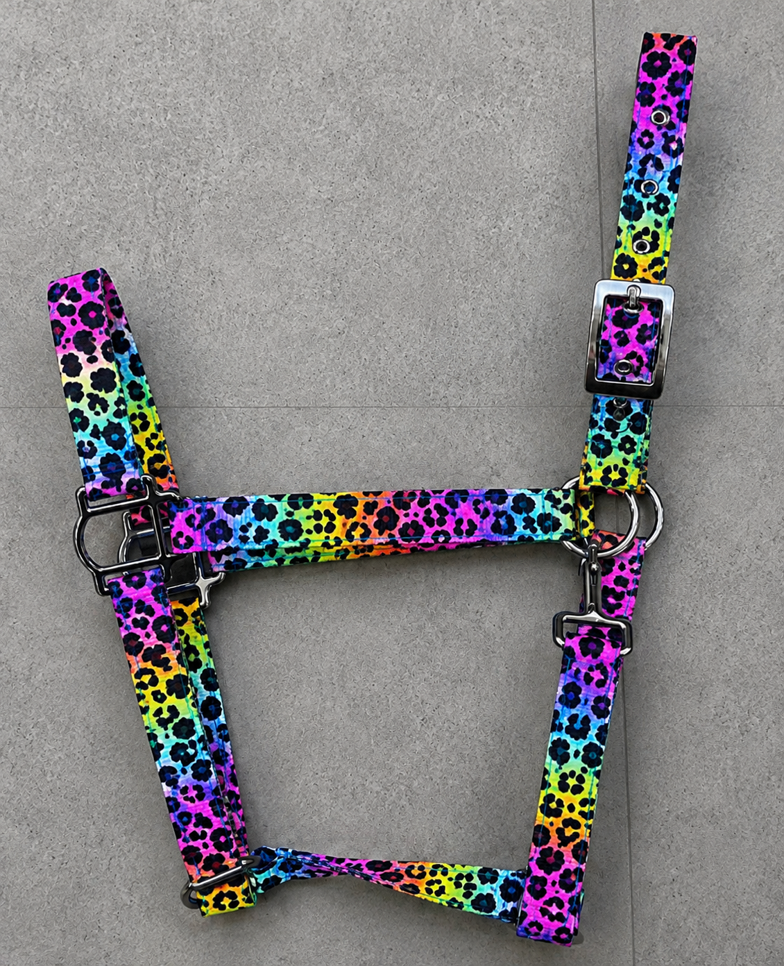 🌈🐆 NEON LEOPARD BY CALNEVARI TACK 🐆🌈