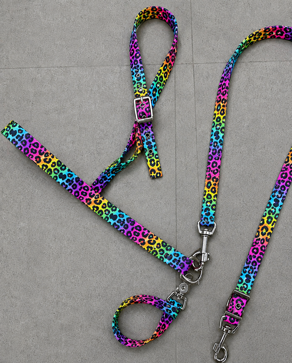 🌈🐆 NEON LEOPARD BY CALNEVARI TACK 🐆🌈