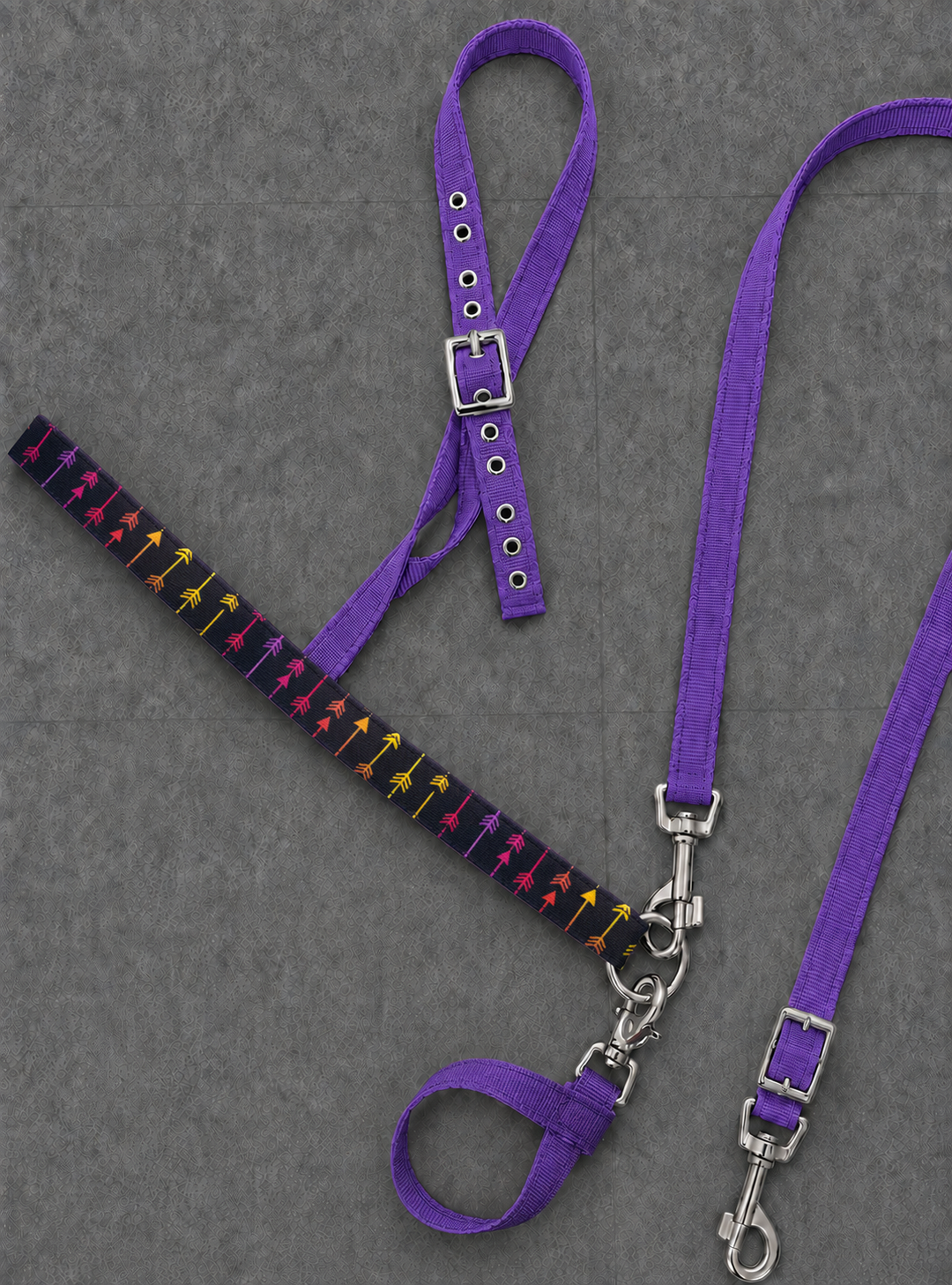 🌈🏹 Aim to Misbehave Collection | Rainbow Arrow Horse Tack 🏹🌈
