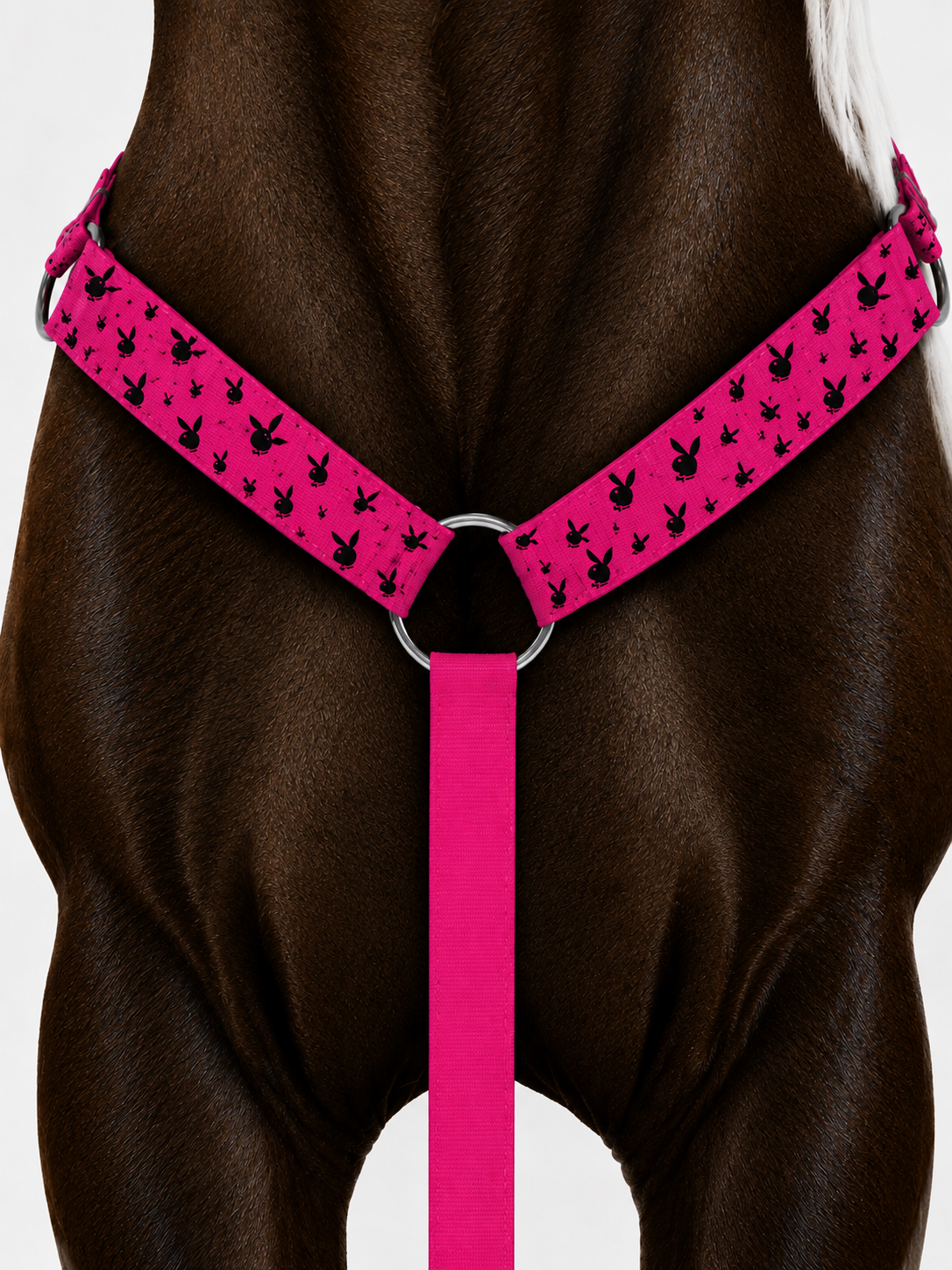 💗 PLAYBOY BUNNY COMPLETE TACK SET 🖤🐰