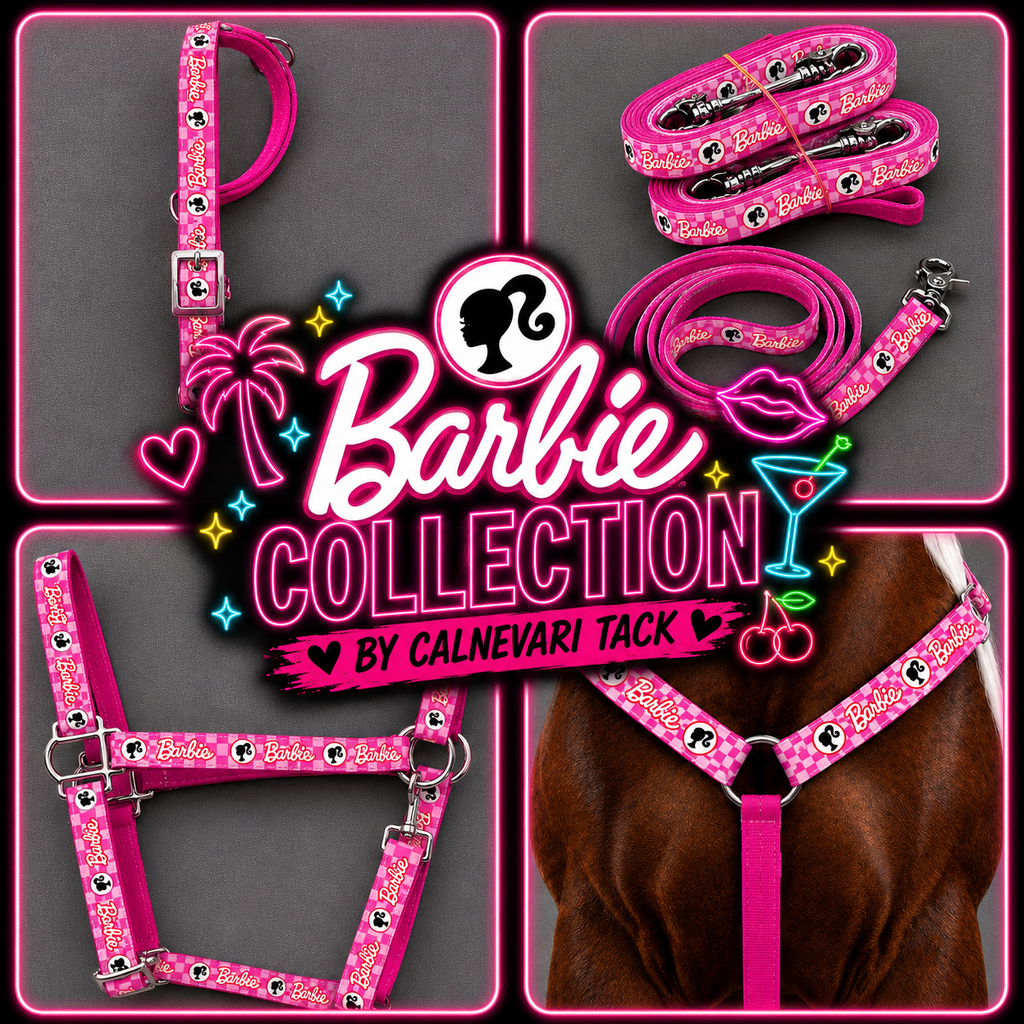 Barbie Collection | Hot Pink Barbie Horse Tack