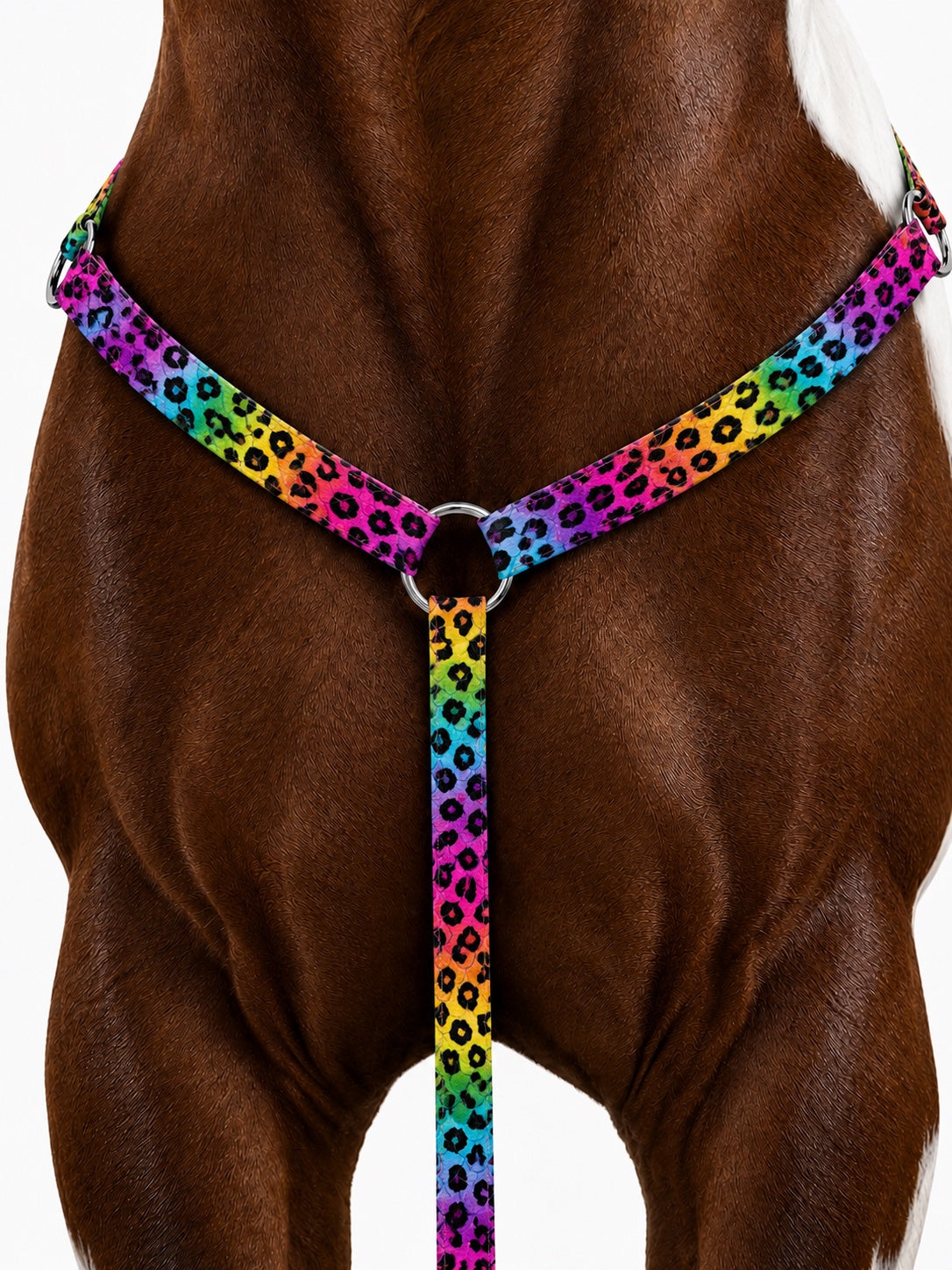 🌈🐆 NEON LEOPARD BY CALNEVARI TACK 🐆🌈