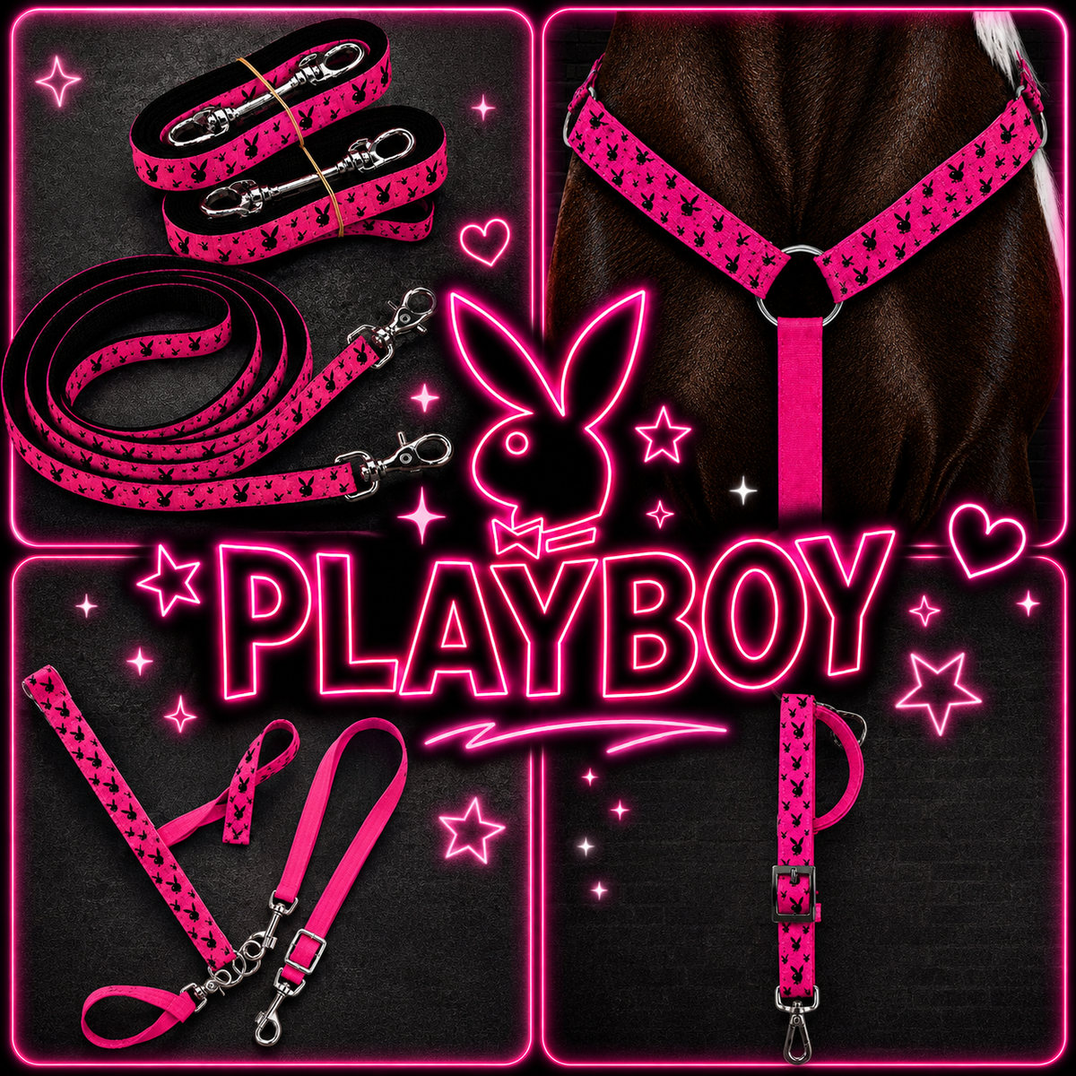 💗 PLAYBOY BUNNY COMPLETE TACK SET 🖤🐰