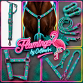 🦩 FLAMINGO BY CALNEVARI TACK 🦩
