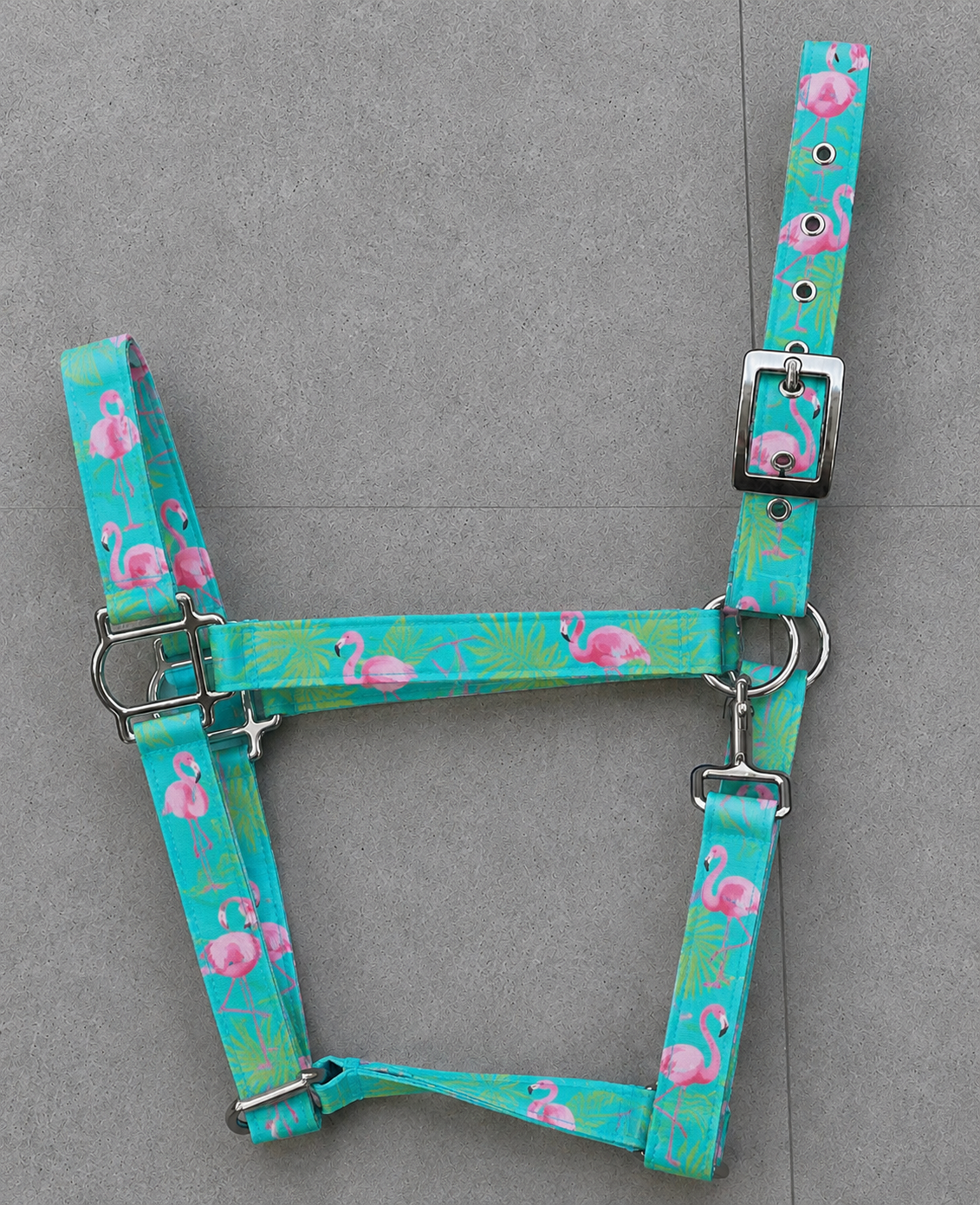 🦩 FLAMINGO BY CALNEVARI TACK 🦩