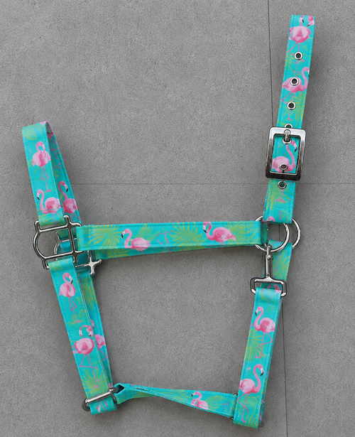 🦩 FLAMINGO BY CALNEVARI TACK 🦩