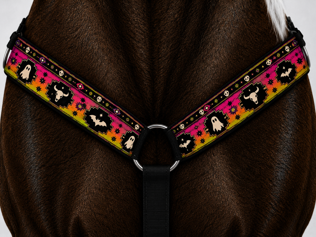 Ghost Town After Dark Collection by CalNevAri Tack