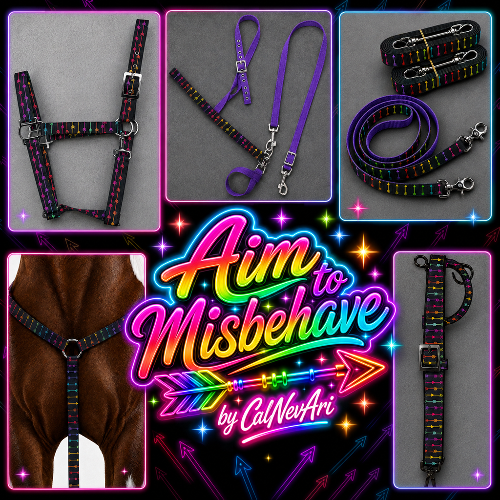 🌈🏹 Aim to Misbehave Collection | Rainbow Arrow Horse Tack 🏹🌈