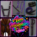 🌈🏹 Aim to Misbehave Collection | Rainbow Arrow Horse Tack 🏹🌈